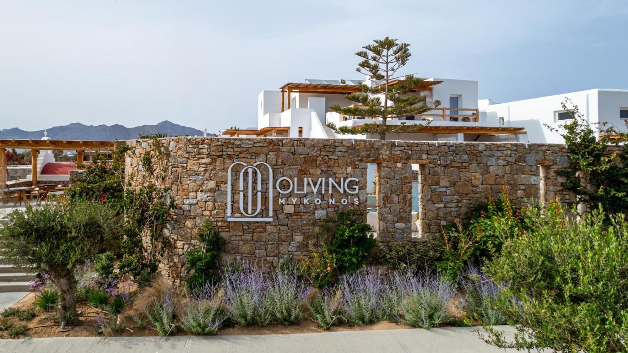 Oliving Mykonos Luxury Suites Klouvas Dış mekan fotoğraf